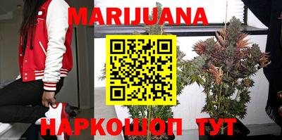 МДПВ Краснодар