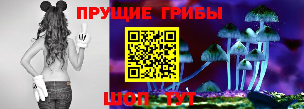 Каменск-Шахтинский  Псилоцибиновые грибы мухоморы  Галлюциногенные грибы ЛСД  Вход с VPN 